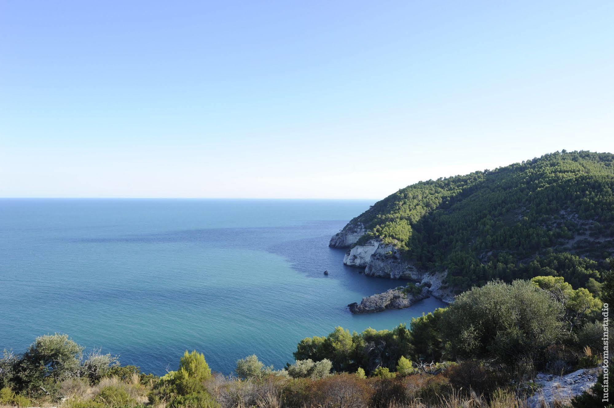 Pugnochiuso Resort - Hotel Del Faro Экстерьер фото